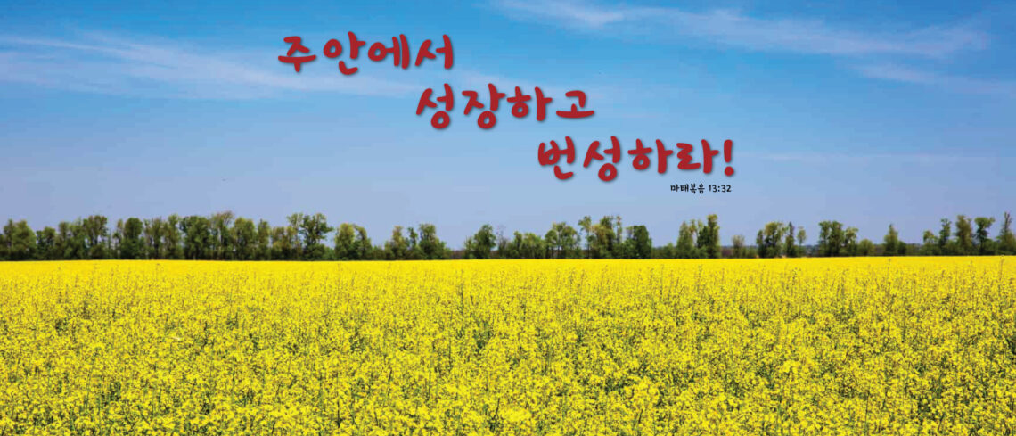 A bright yellow field with a blue sky and Korean text above.