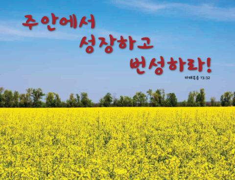A bright yellow field with a blue sky and Korean text above.