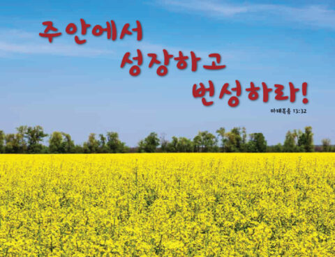 노란 꽃밭과 푸른 하늘, 성장과 변성의 메시지.