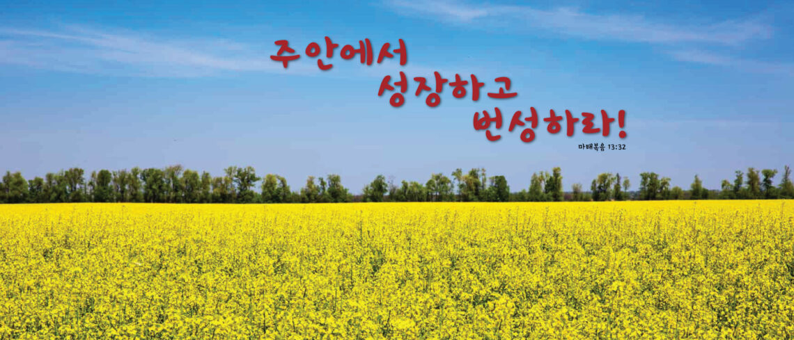 A bright yellow field under a clear blue sky with Korean text above.