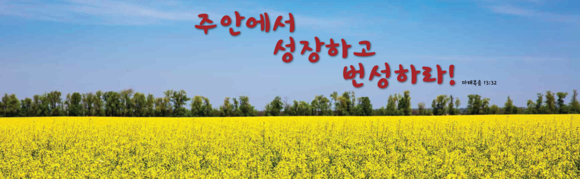 A vast yellow field under a clear sky with Korean text above.