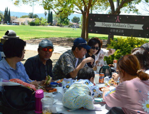 Group enjoying a sunny outdoor picnic under the trees.