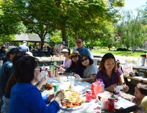 Friends enjoying a sunny picnic outdoors with food and drinks.