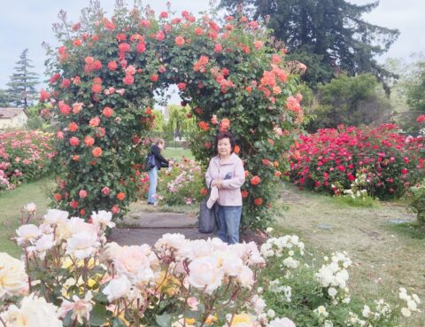 Woman standing under a blooming rose arch in a garden.