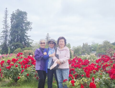 Three women standing among vibrant red flowers in a garden.
