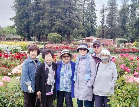 A group of six women posing in a garden with blooming flowers and tall trees.