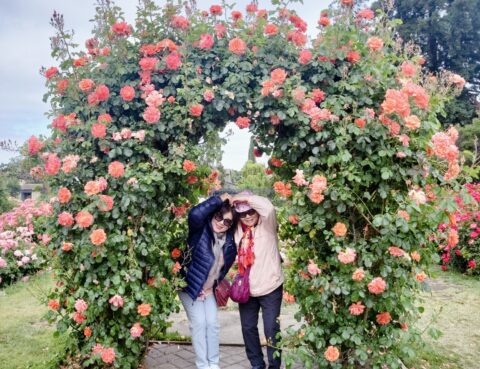 Two people standing under a lush arch of pink flowers.