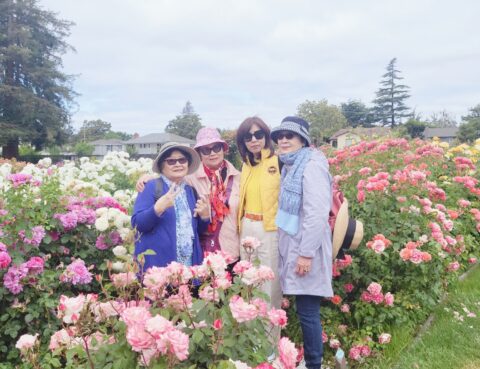 Three women posing happily among blooming pink roses in a garden.