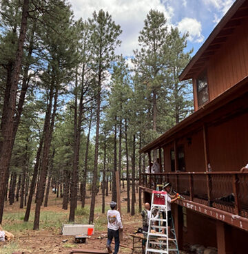 People setting up a Christmas tree outside a wooden cabin in a forest.