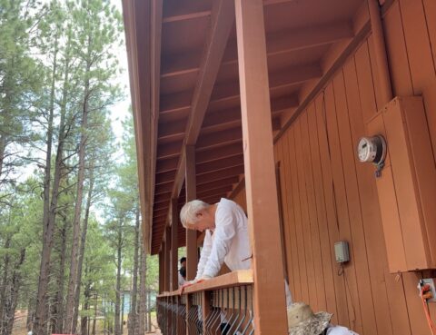 Two people working on a wooden cabin in a forested area.