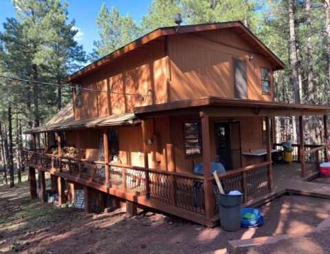 Wooden cabin nestled in a forest with outdoor seating and a surrounding deck.